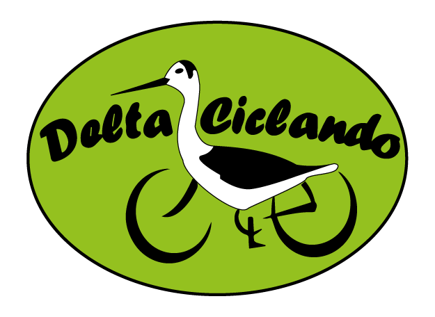Esplora il Delta del Po in Bicicletta!