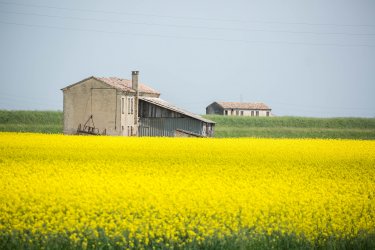 Rodinná dovolená s dětmi, Lidi di Comacchio, na Jadranské riviéře