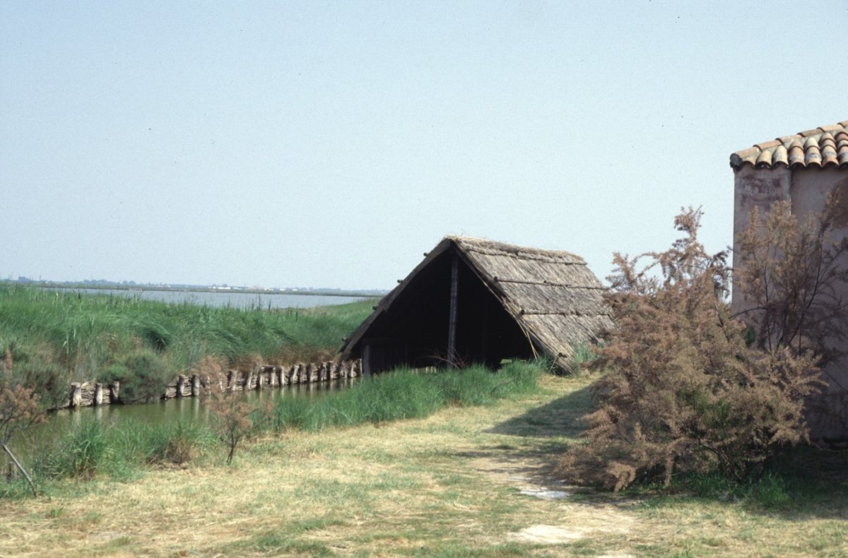 V kontaktu s zelené a přírody, Lidi id Comacchio